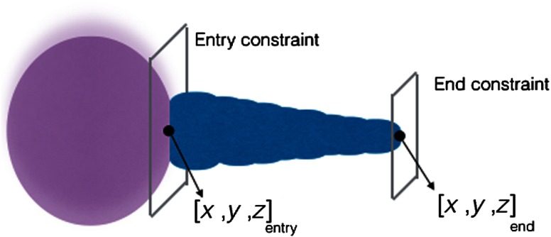 Fig. 10