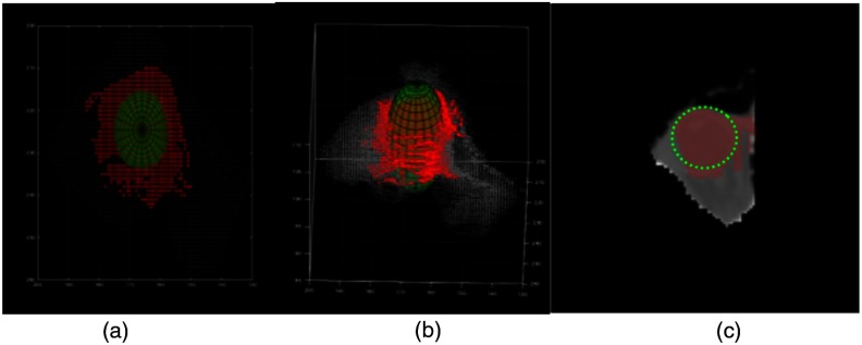 Fig. 8