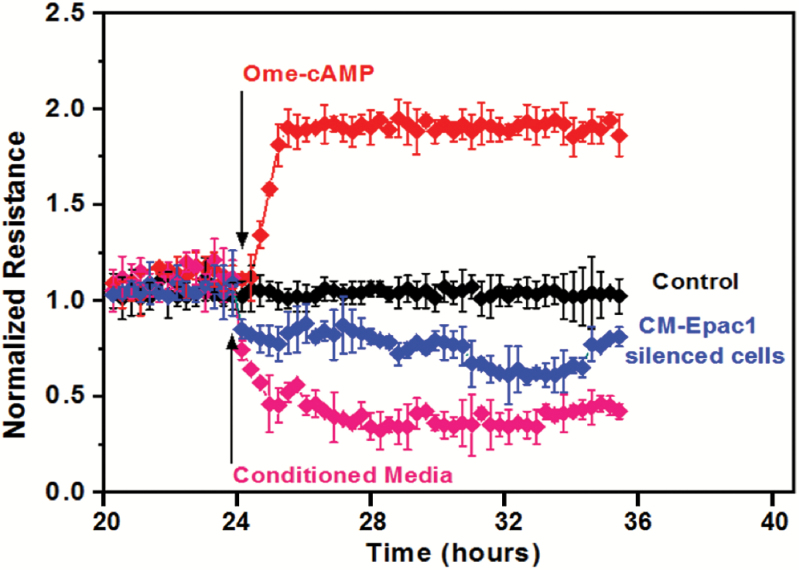 Figure 5.