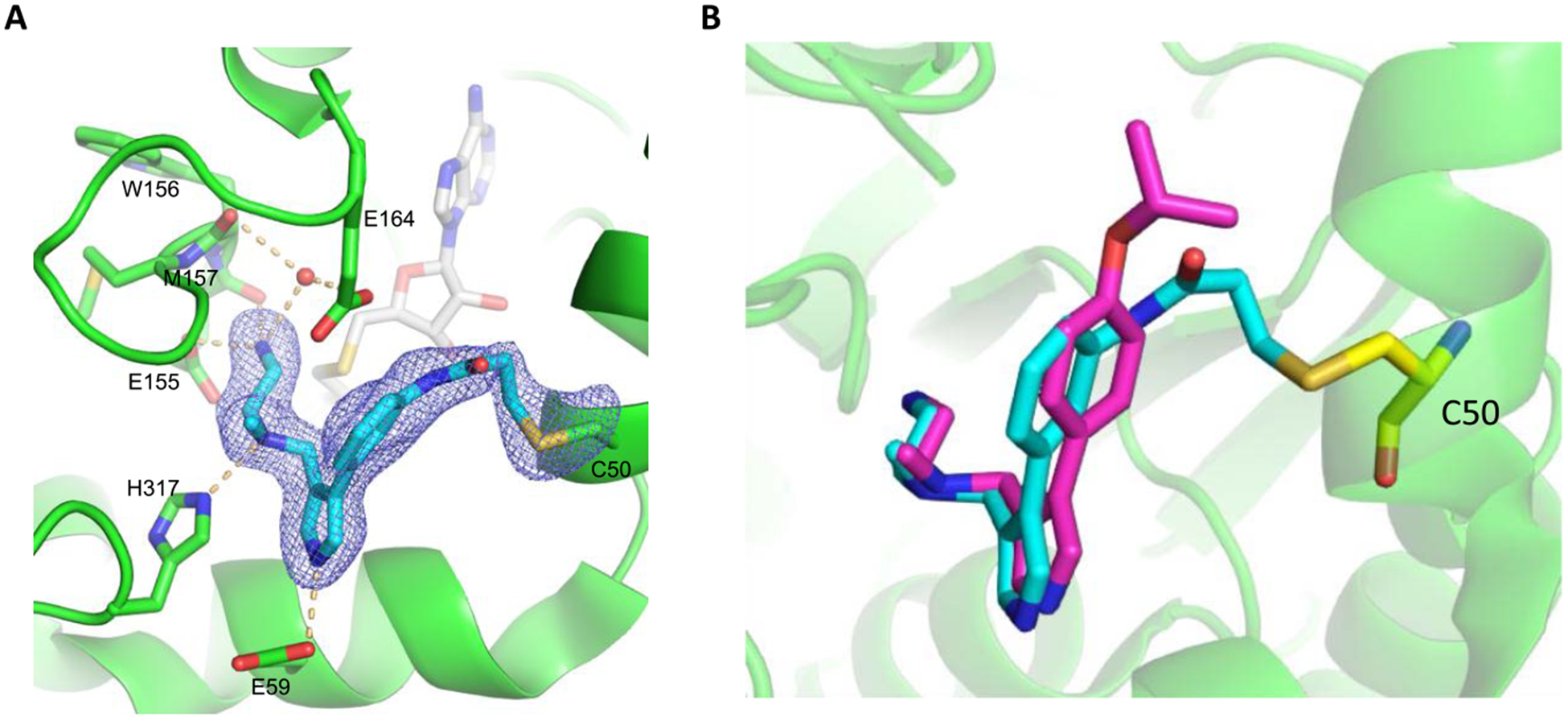 Figure 5.