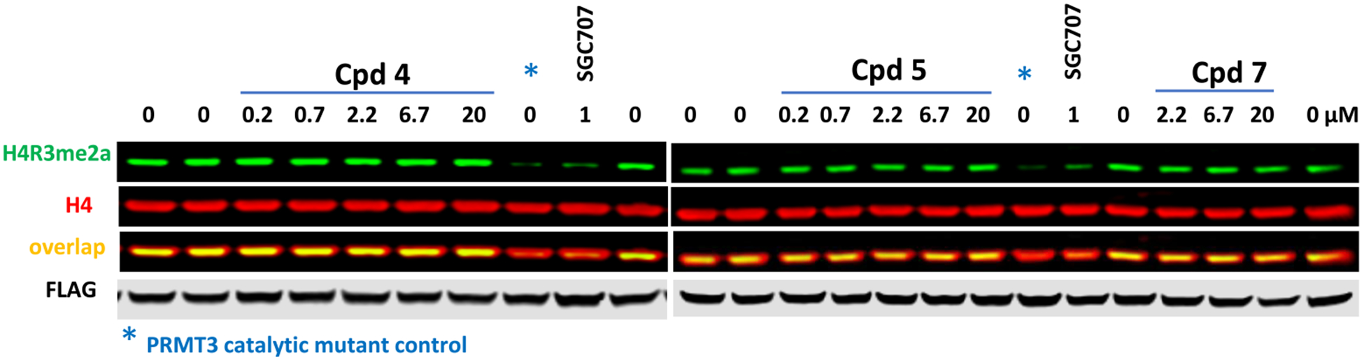 Figure 9.