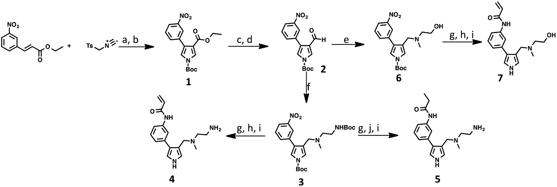 Scheme 1.