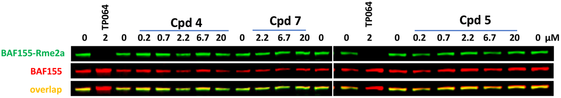 Figure 10.