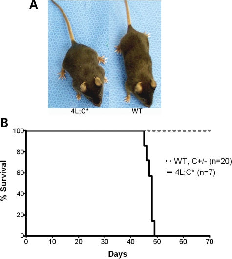 Figure 1.