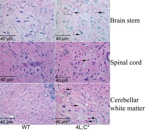 Figure 3.