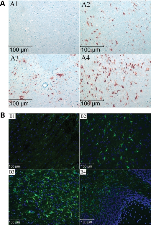 Figure 4.