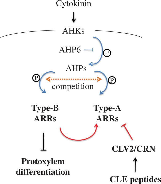 Fig. 10