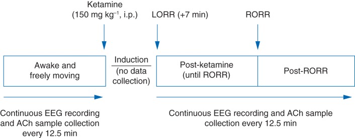 Fig 1