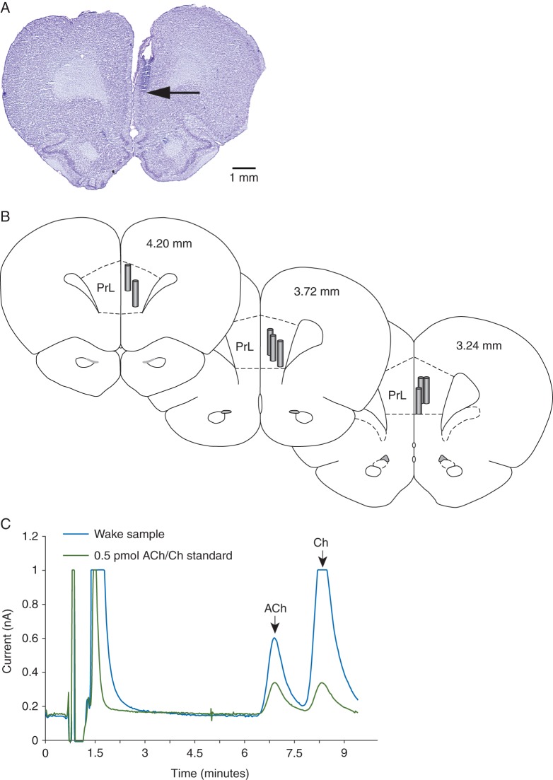 Fig 2