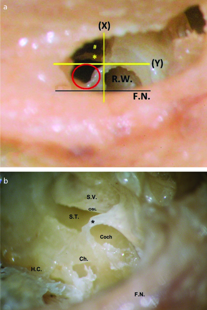 Figure 7. a, b