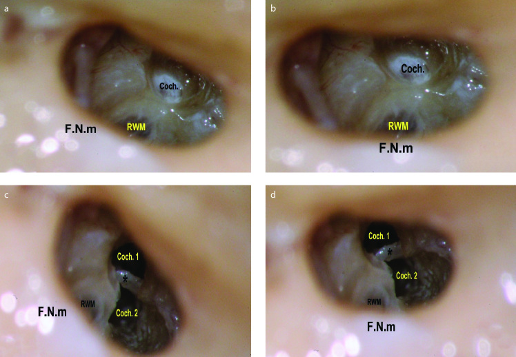 Figure 1. a–d