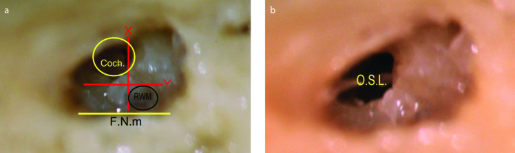 Figure 3. a, b