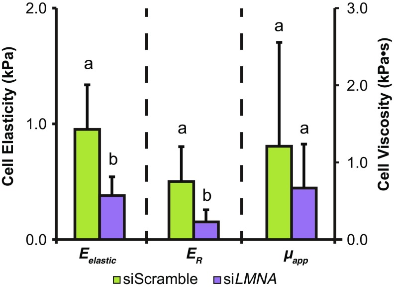 Figure 5