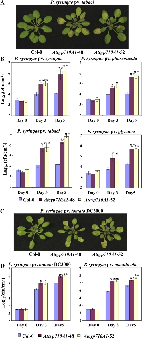 Figure 5.