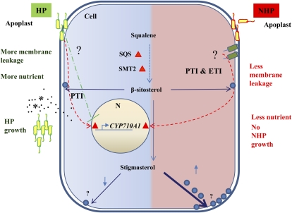 Figure 7.