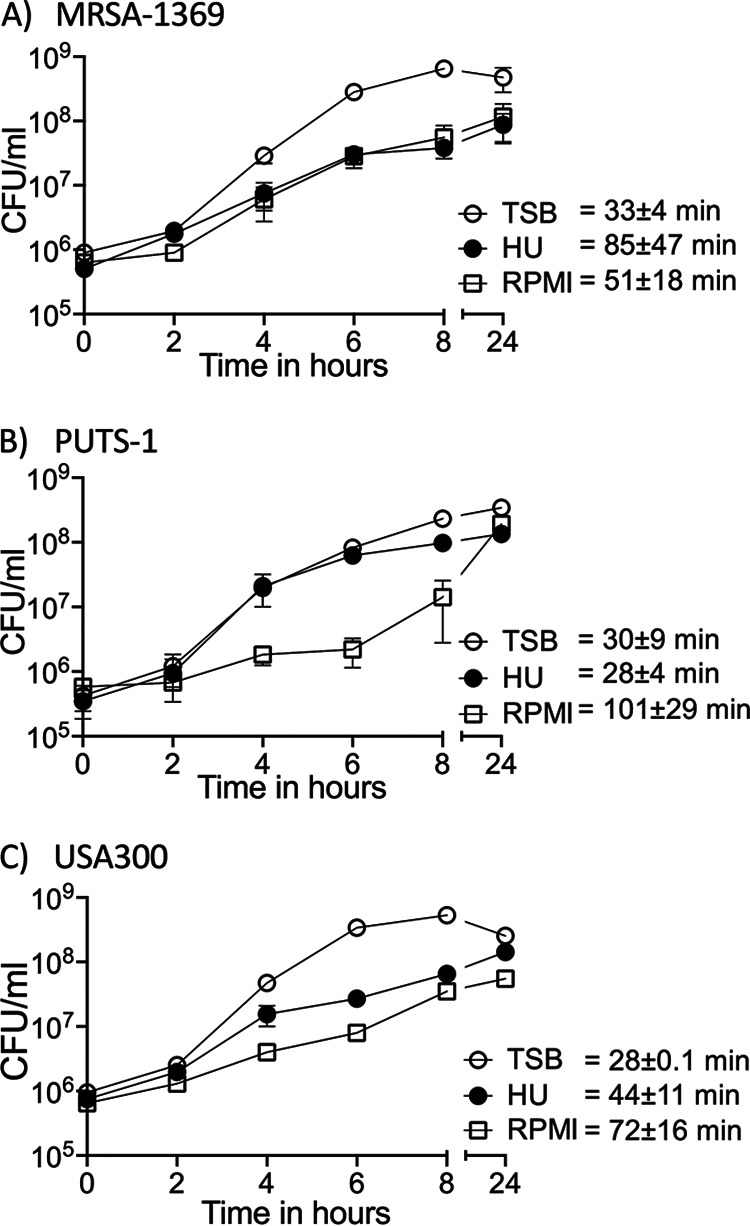 FIG 1