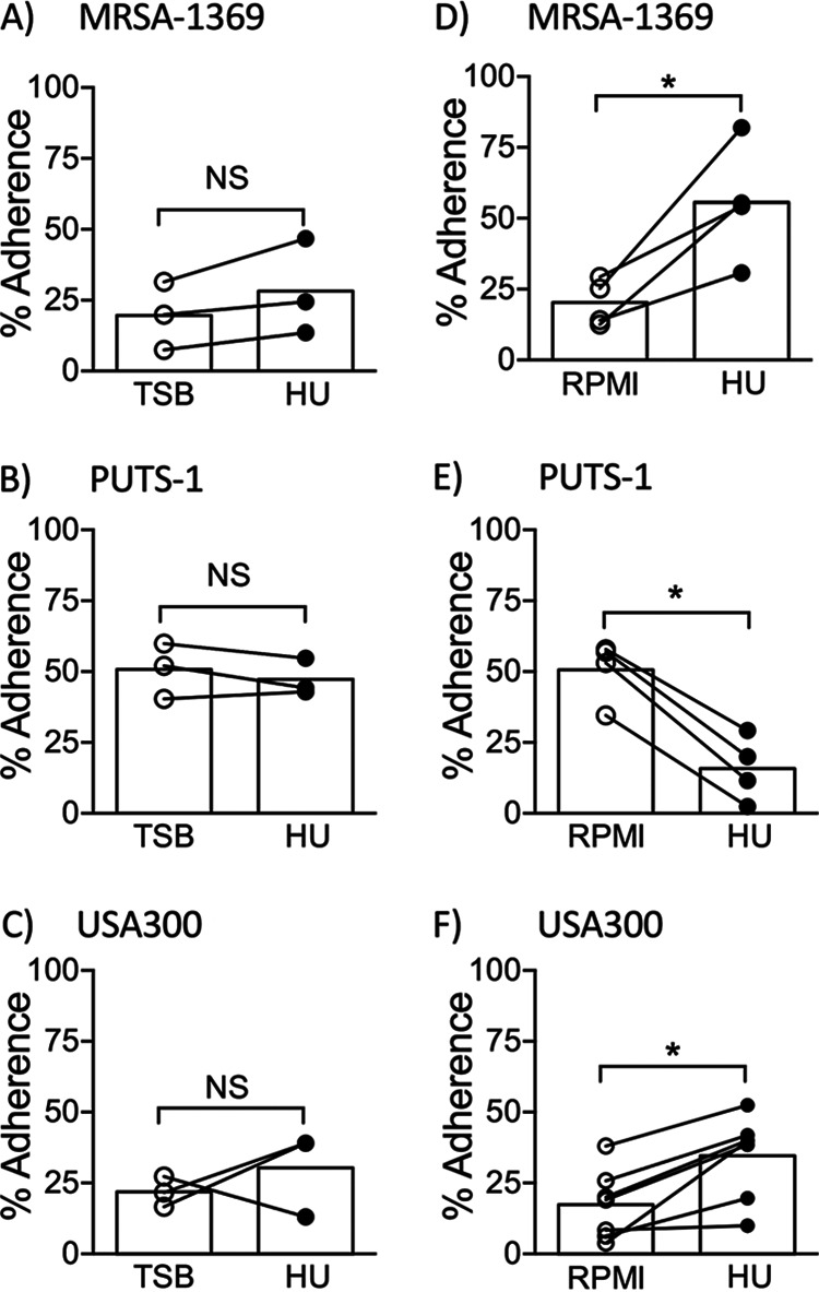 FIG 2