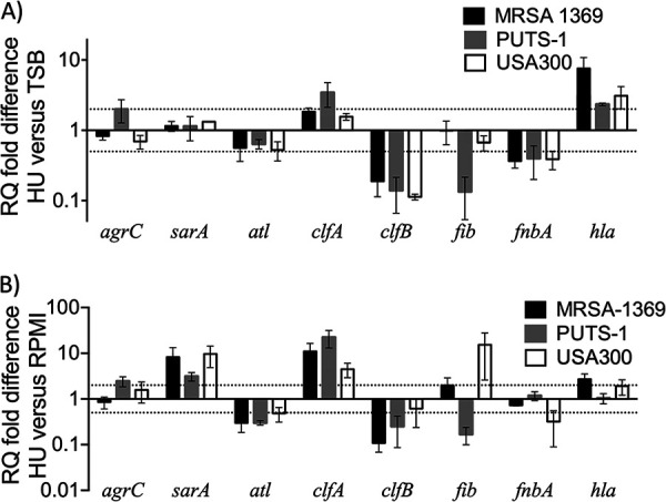 FIG 6