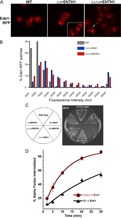 Figure 6.