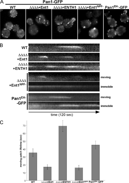 Figure 5.