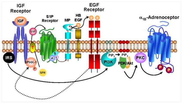 Fig. 11