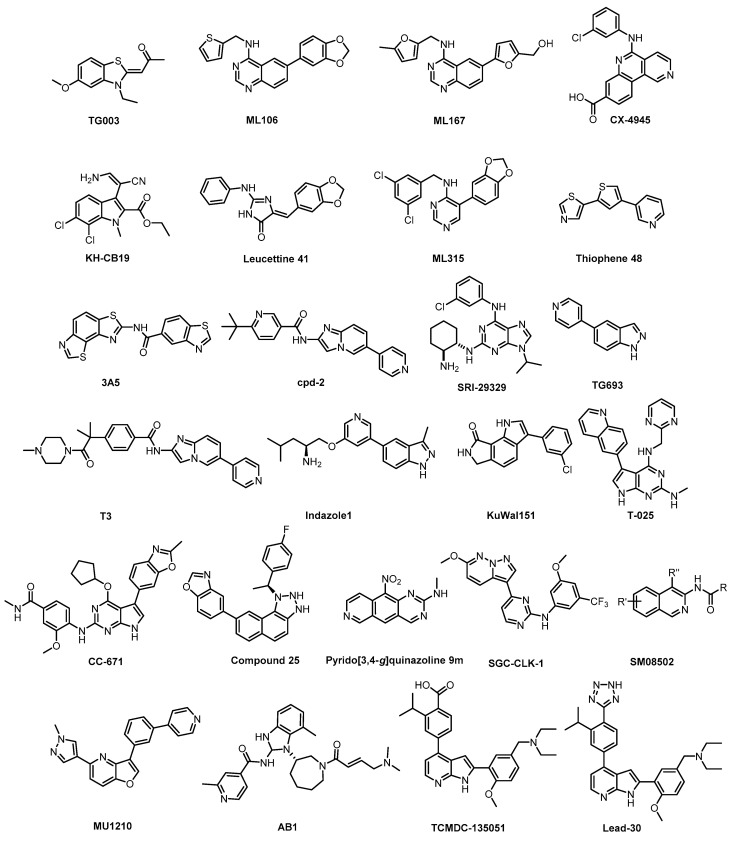 Figure 31