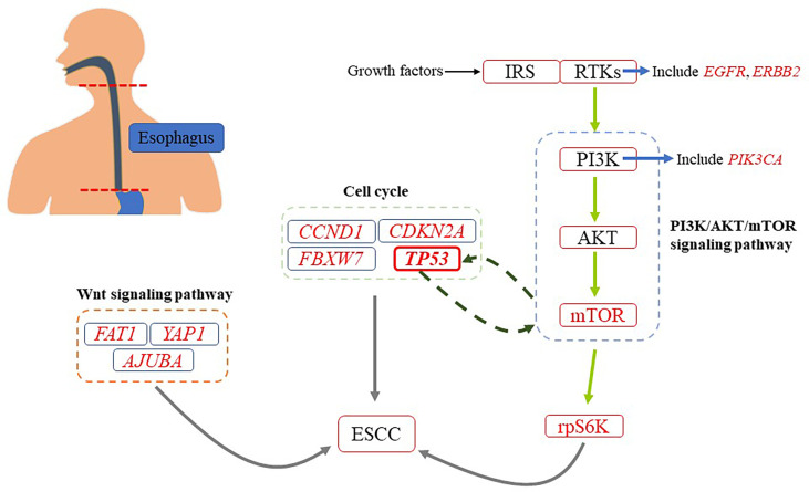 Figure 2