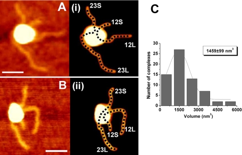 FIGURE 4.