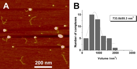 FIGURE 5.