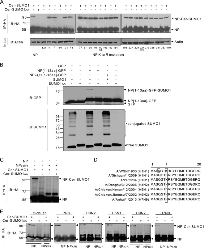 FIG 2