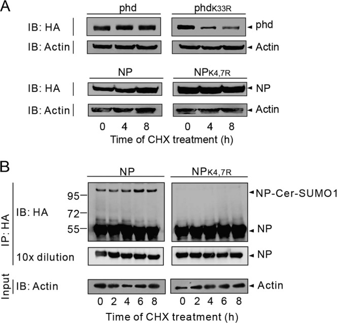 FIG 4