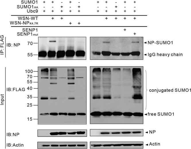 FIG 3