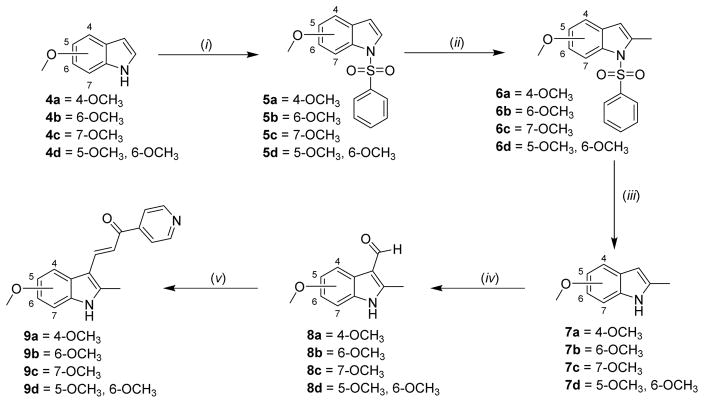 Scheme 1