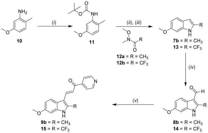 Scheme 2