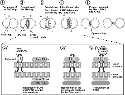 Figure 9.