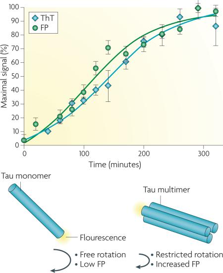 Box 2. Description of high-throughput screens used to identify Tau fibrillization inhibitors