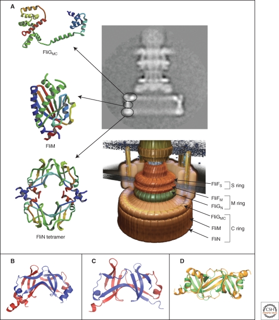 Figure 6.