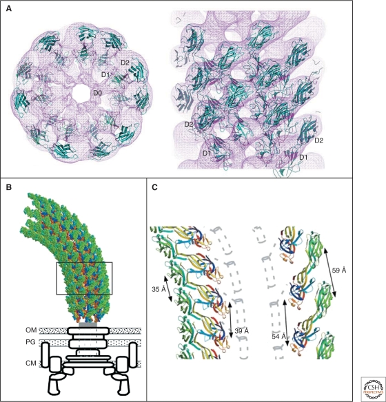 Figure 9.