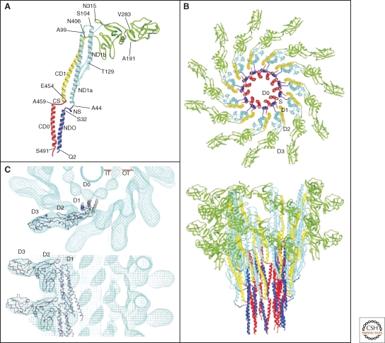 Figure 10.