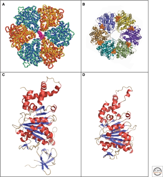 Figure 7.