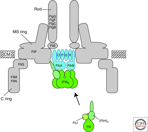 Figure 2.