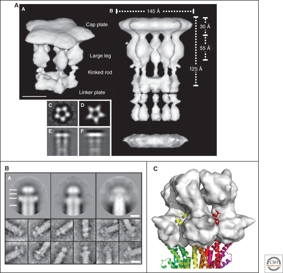 Figure 11.