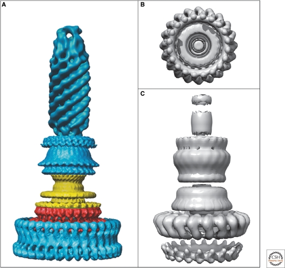 Figure 4.