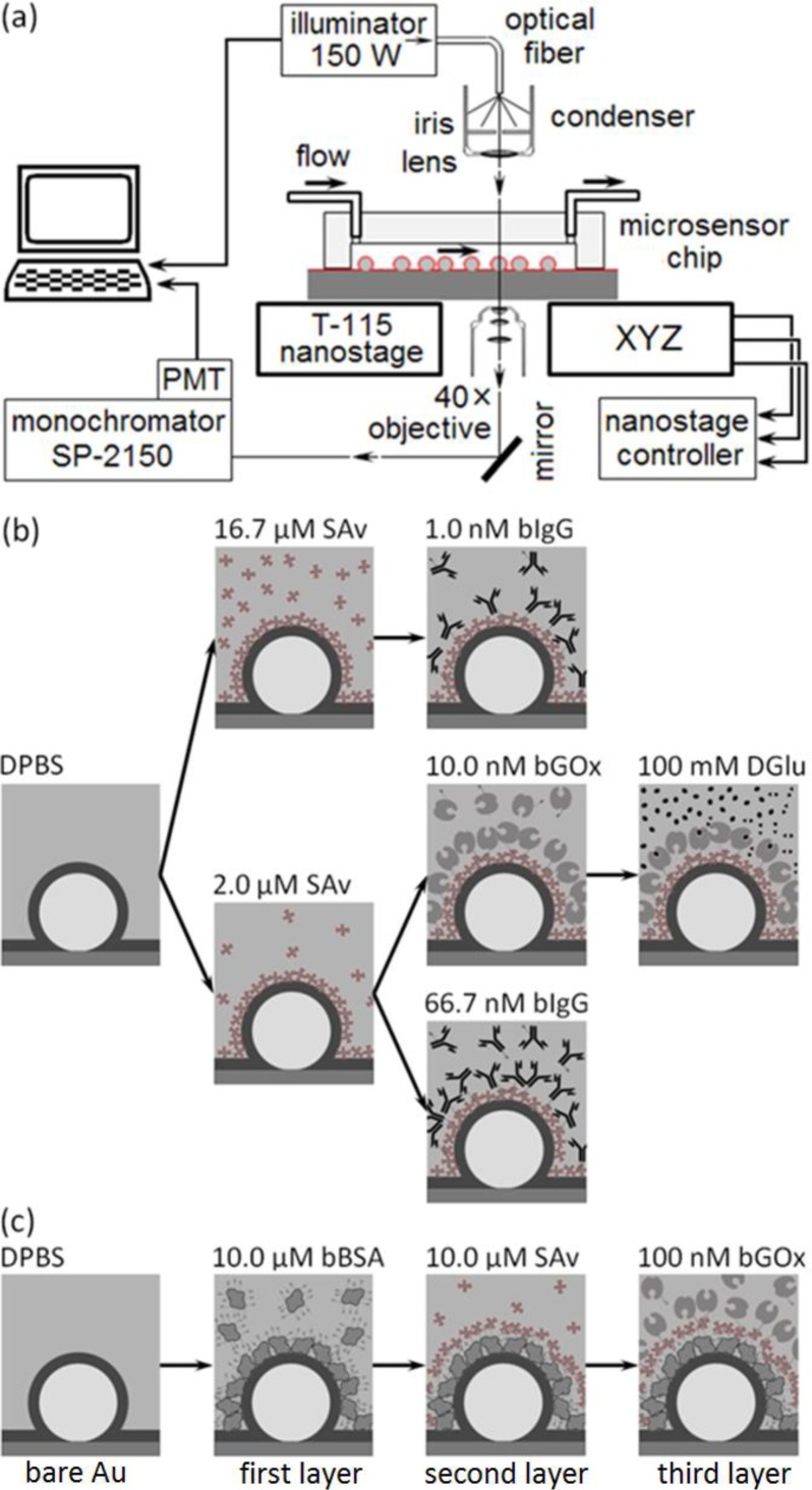 Figure 3.