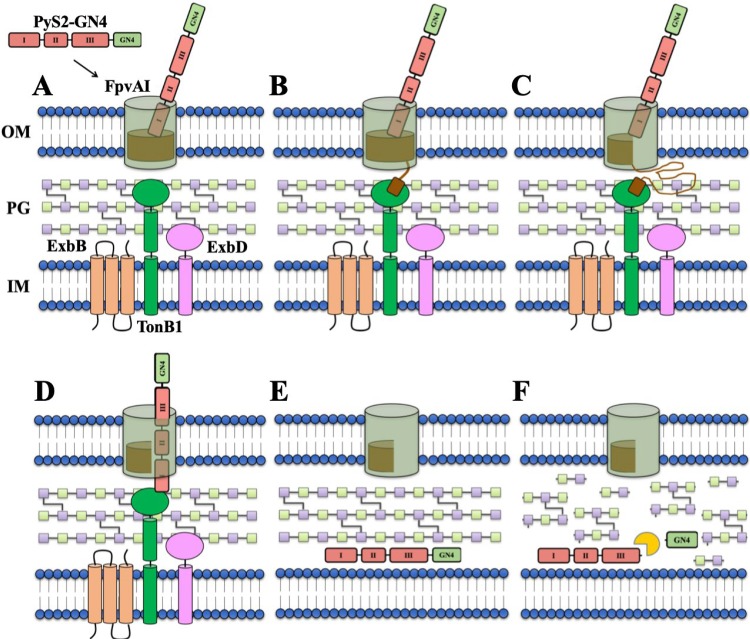 FIG 6