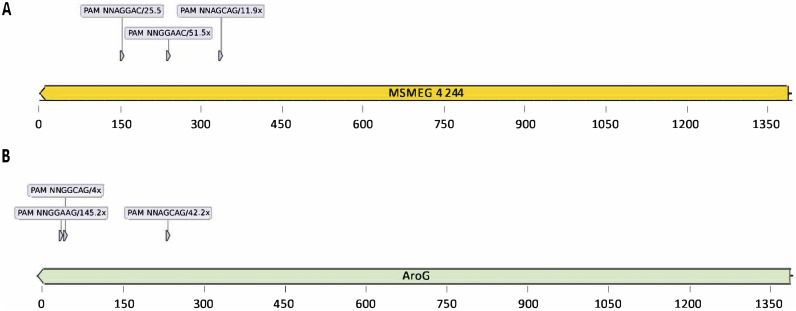 FIG 1