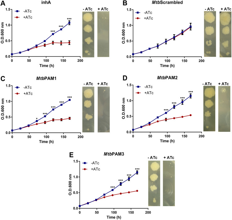 FIG 3