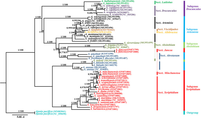 Fig. 4