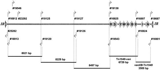 FIG. 1.