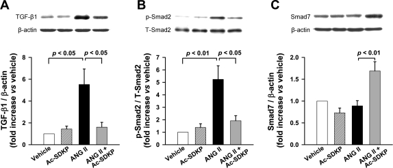 Fig. 9.